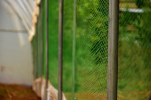 Agricultural Anti-Bird Net