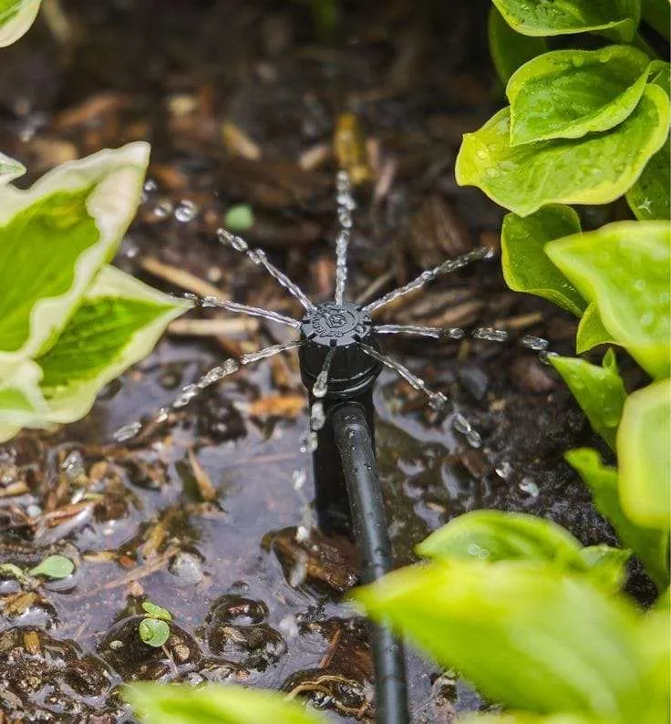 Button Dripper for Drip Irrigation for FD Fittings — irrigation supply Kenya