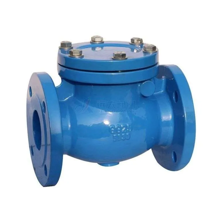 Carbon Steel Swing Check Valve for FD Fittings — irrigation supply Kenya