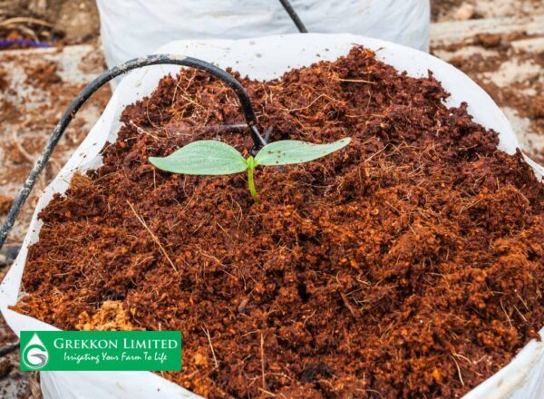 Cocopeat Planting Block Media for FD Fittings — irrigation supply Kenya
