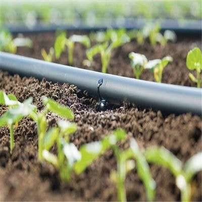 Complete Drip Irrigation Kit