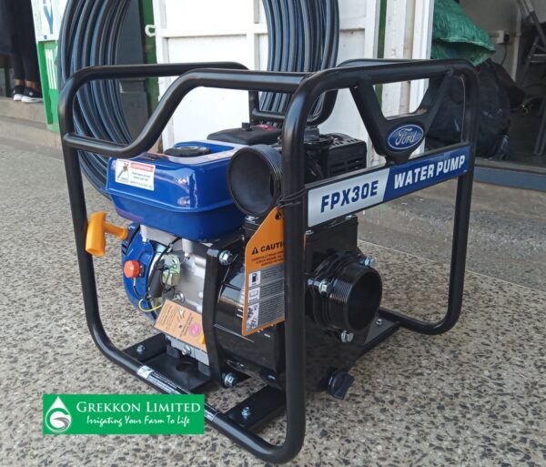 Ford FPX30E Petrol Water Pump for FD Fittings — irrigation supply Kenya