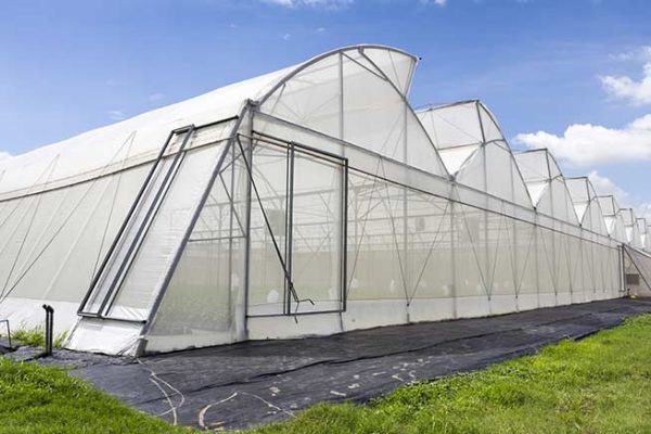 Greenhouse Anti-Insect Net for FD Fittings — irrigation supply Kenya