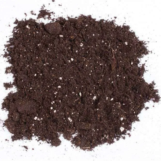 Peat Moss Planting Media for FD Fittings — irrigation supply Kenya