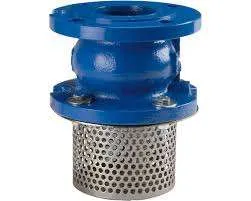 Water Pump Foot Valve for FD Fittings — irrigation supply Kenya